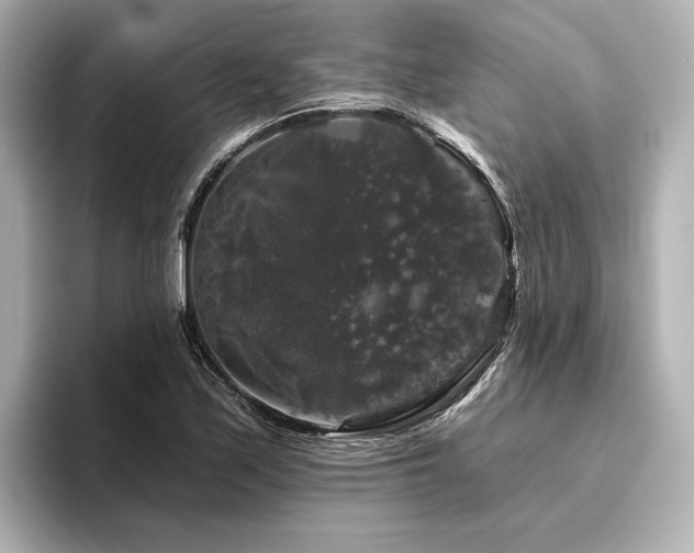 X0000096411171200801241215
