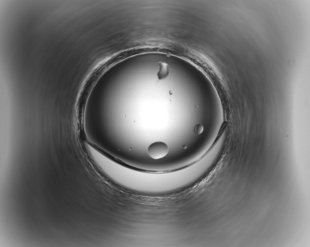 X0000096411172200801241215