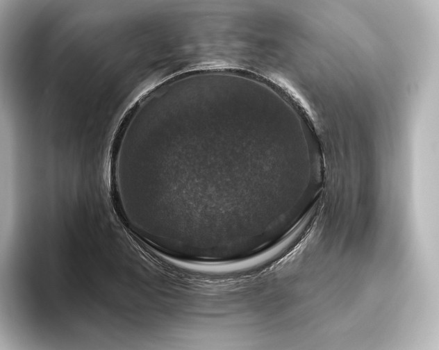 X0000096411173200801241215