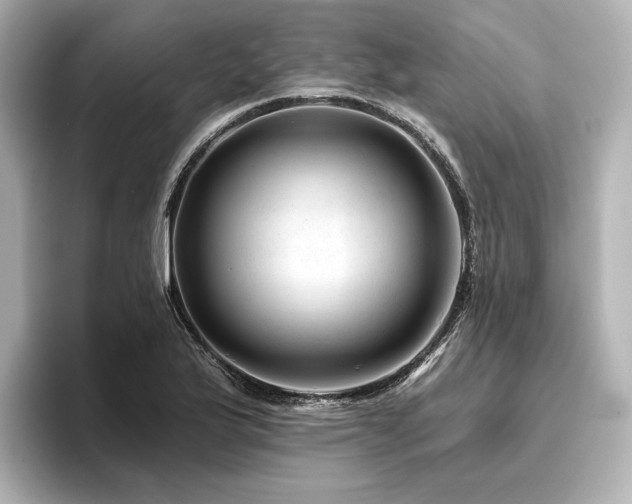 X0000096411175200801241215