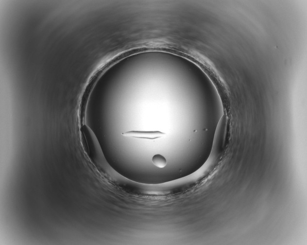 X0000096411176200801241215