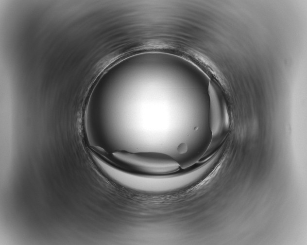 X0000096411177200801241215