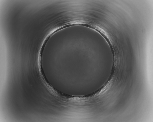 X0000096411179200801241215