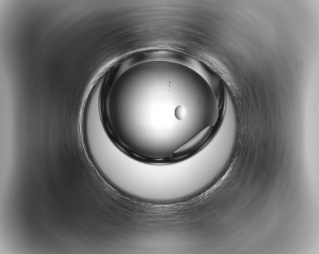 X0000096411180200801241215
