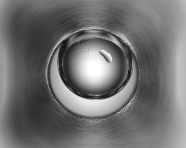 X0000096411181200801241215