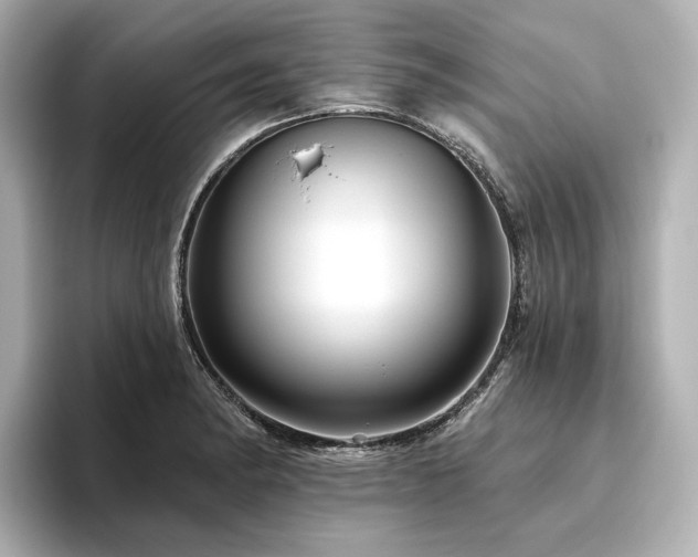 X0000096411182200801241215