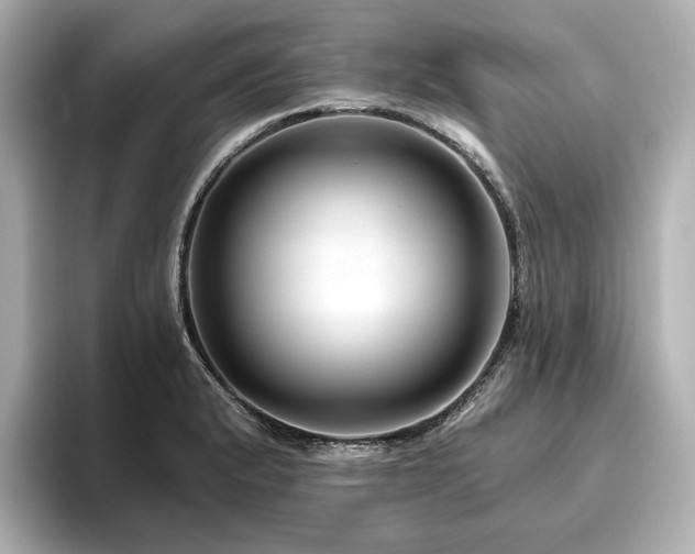 X0000096411183200801241214