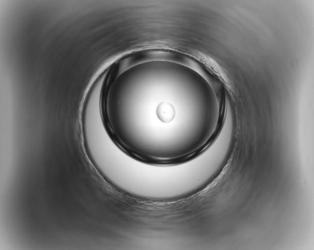 X0000096411184200801241214