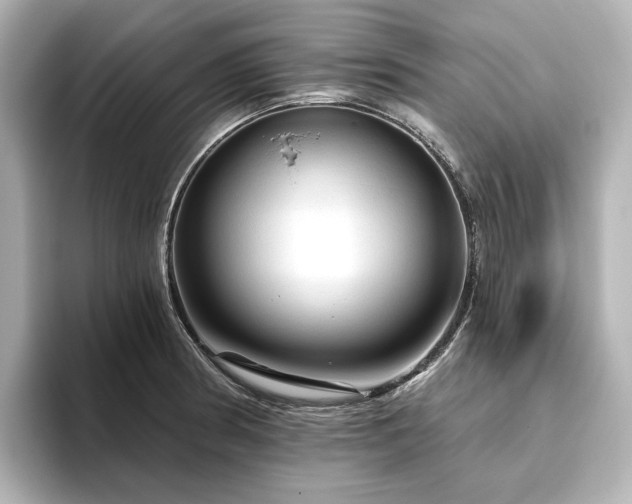 X0000096411186200801241214
