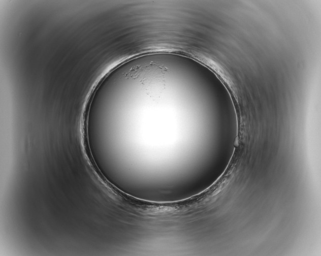 X0000096411187200801241214