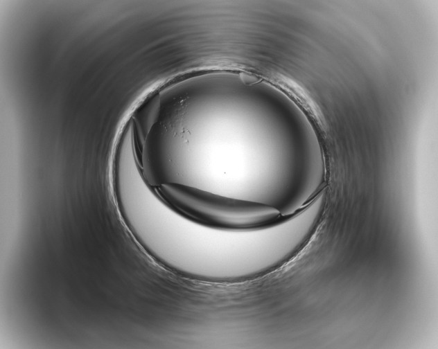 X0000096411188200801241214