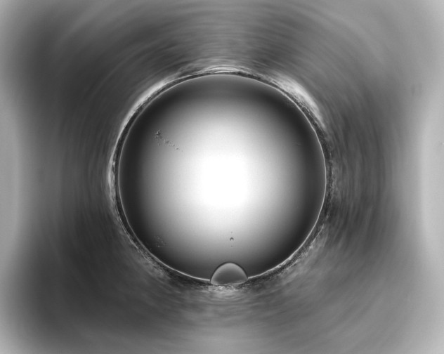 X0000096411190200801241214
