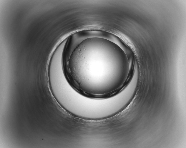 X0000096411192200801241214