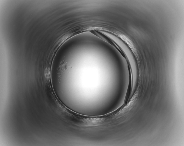 X0000096411193200801241214