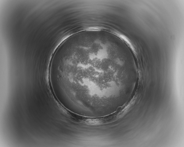 X0000096411194200801241214