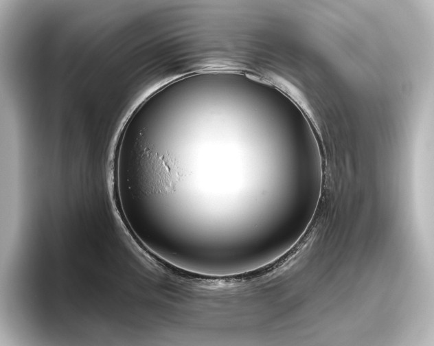 X0000096411195200801241214