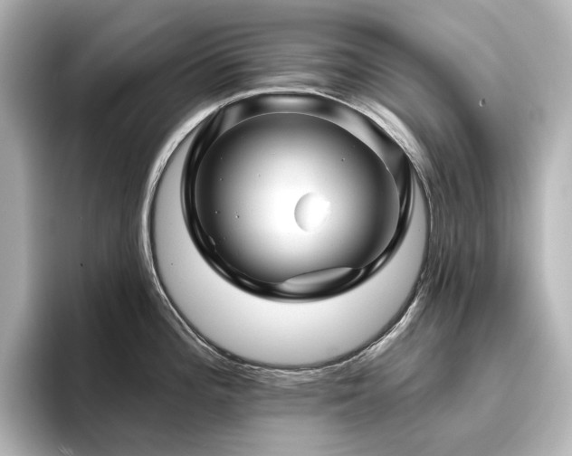 X0000096411196200801241214