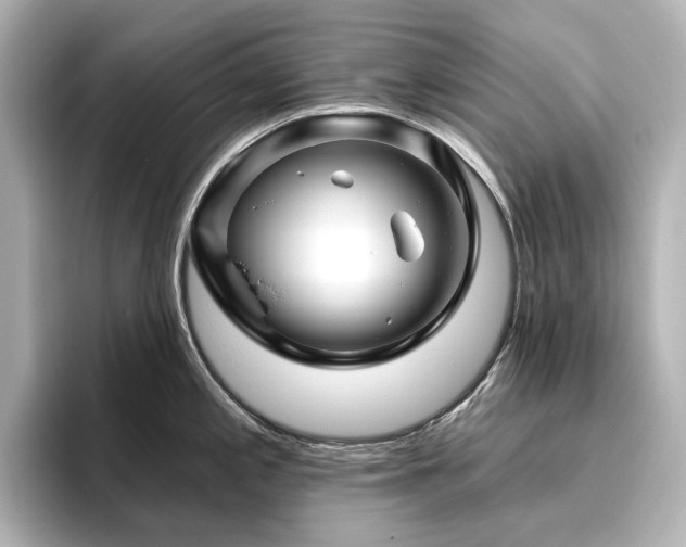 X0000096411197200801241214