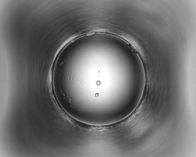 X0000096411198200801241214