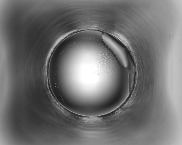 X0000096411200200801241214