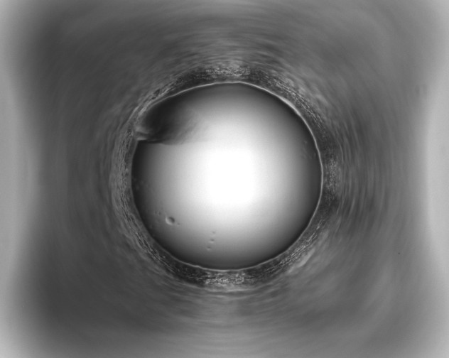 X0000096411201200801241214