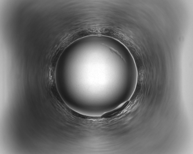 X0000096411202200801241214