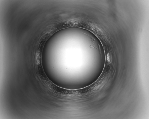 X0000096411203200801241214