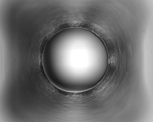 X0000096411204200801241214