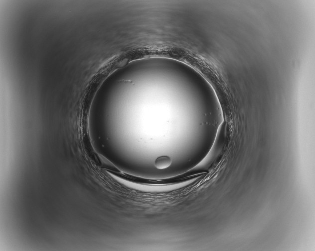 X0000096411205200801241214