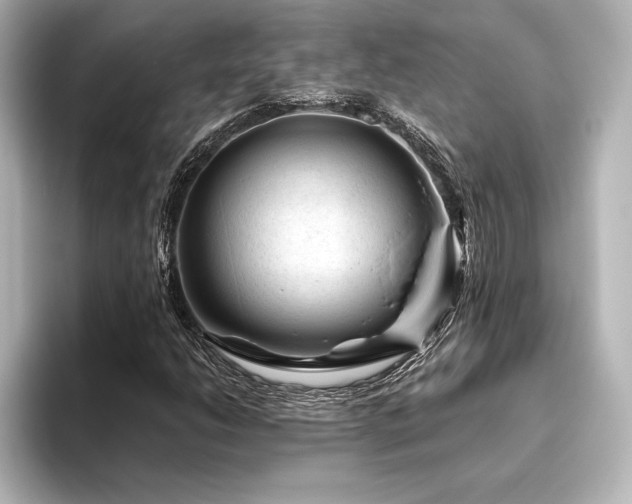 X0000096411206200801241214