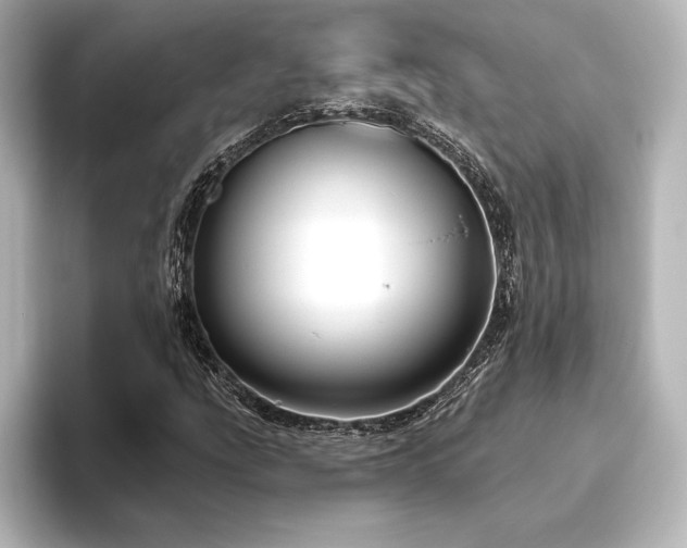 X0000096411207200801241214