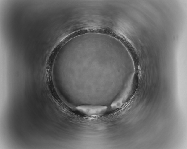 X0000096411208200801241214