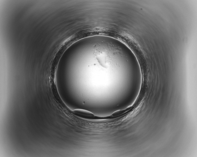 X0000096411210200801241214