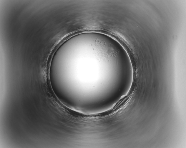 X0000096411212200801241214