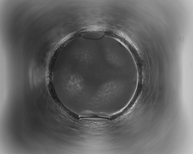 X0000096411213200801241214
