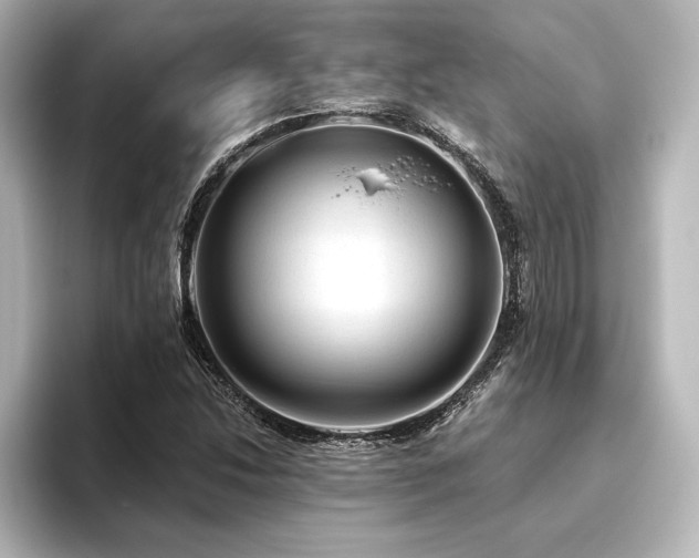 X0000096411214200801241214
