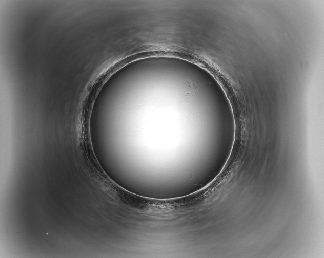 X0000096411215200801241214