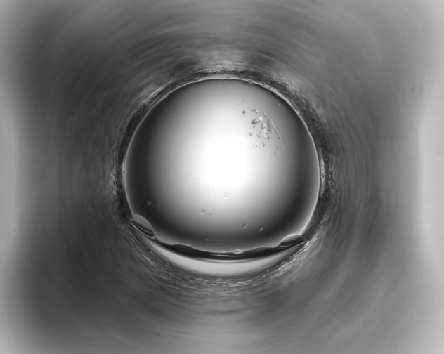 X0000096411217200801241214