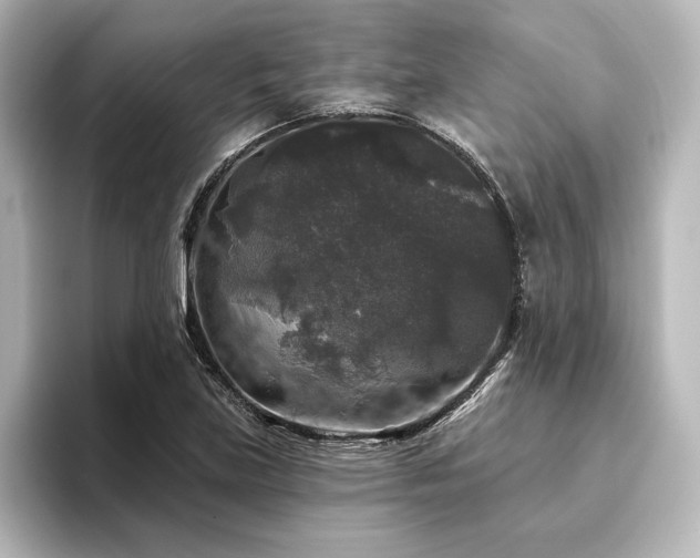 X0000096411219200801241214