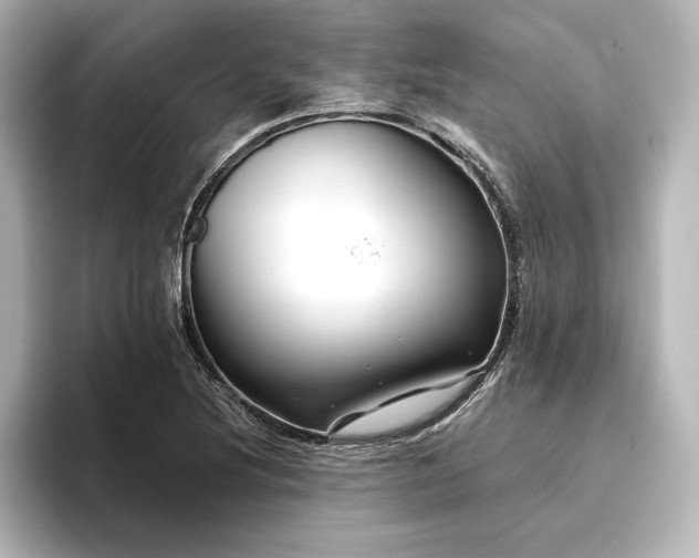 X0000096411220200801241214