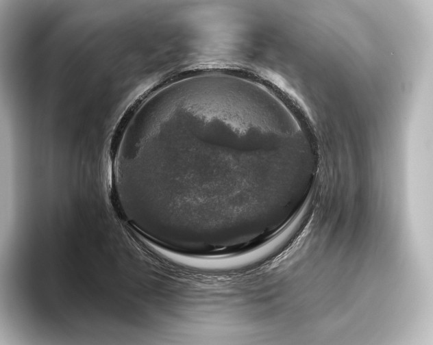 X0000096411221200801241214