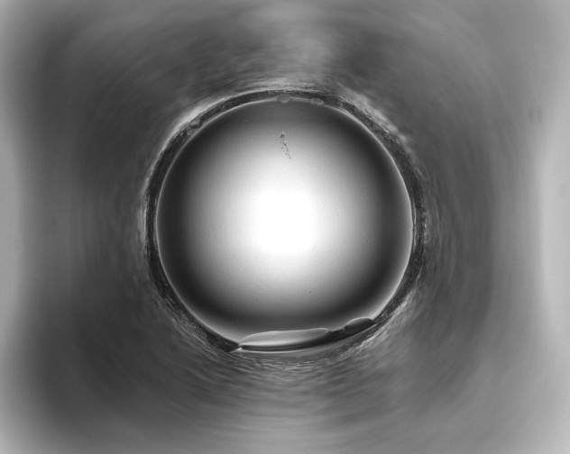 X0000096411222200801241214