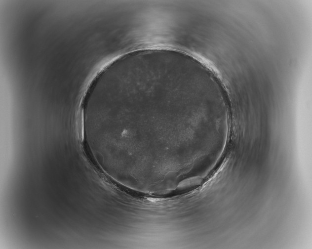 X0000096411223200801241214