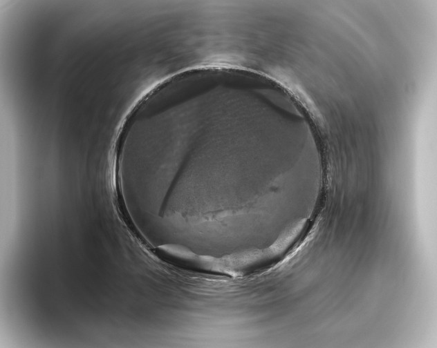X0000096411224200801241214