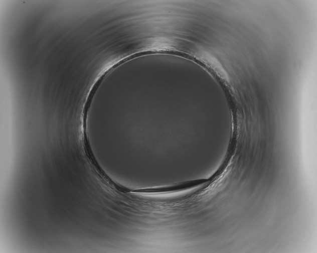 X0000096411226200801241214