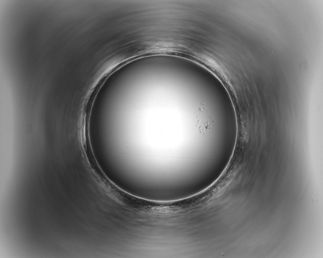 X0000096411227200801241214
