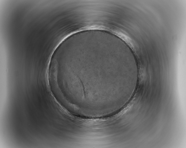 X0000096411228200801241214