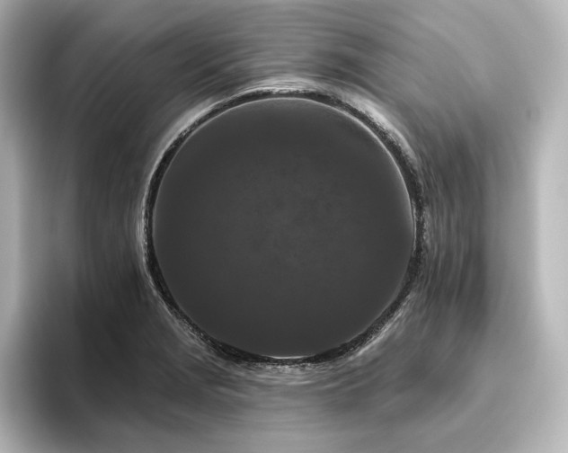 X0000096411229200801241214