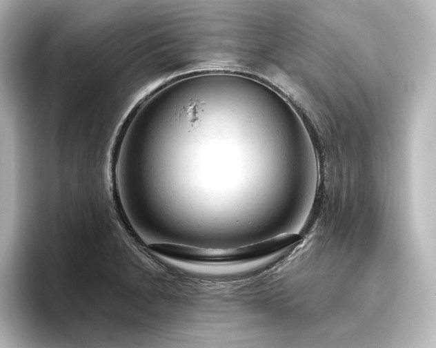 X0000096411230200801241214