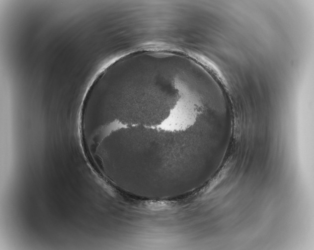 X0000096411231200801241214